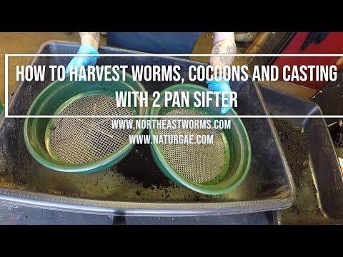 How to Harvest Worms, Cocoons and casting with 2 pan Sifters. Very easy for a perfect separation.