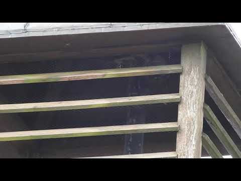 Sirenenprobe Wyk auf Föhr | versteckte E57