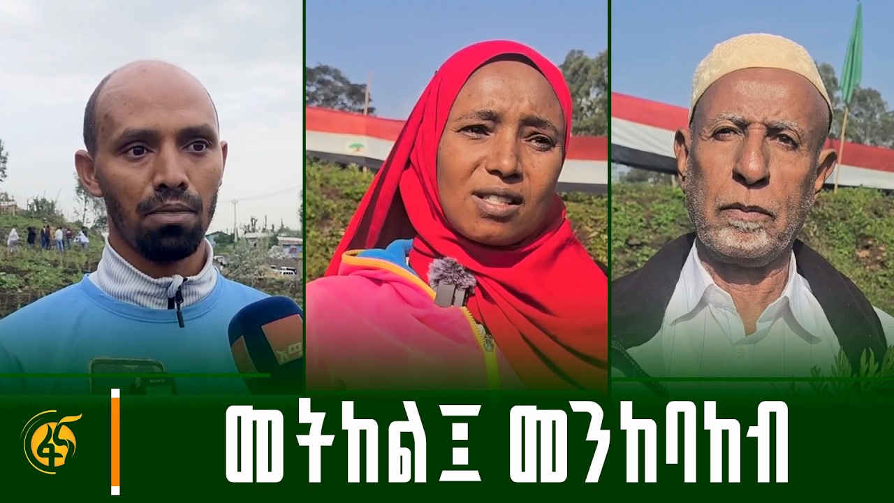 የተራቆቱ አካባቢዎች አረንጓዴ ለብሰዋል