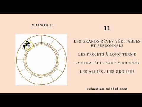 Understanding House 11 in 5 minutes