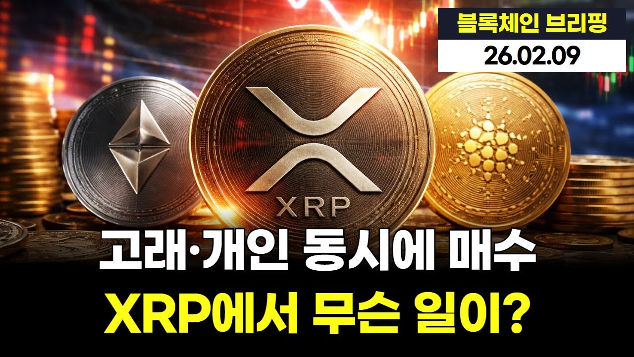 고래·개인 동시에 매수… XRP에서 무슨 일이?