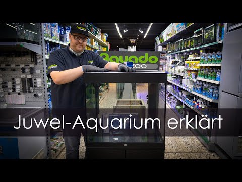 Das meistgekaufte Aquarium erklärt - Tipps & Tricks für Juwel-Aquarien | Aquado-Zoo Dortmund