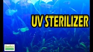 How to use a UV Sterilizer in the Planted Tank: My Take on UV Sterilizers