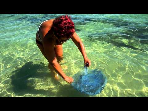 download lagu mp3 mp4 Meduza Recko, download lagu Meduza Recko gratis, unduh video klip Meduza Recko