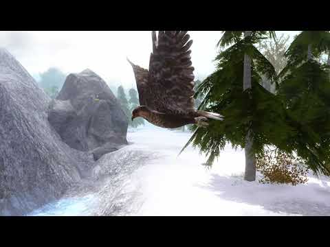 Ultimate Forest Simulator Video