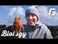 Exploring Oregon Coast Tide Pools with Biology Students 🌊🦀 | George Fox University