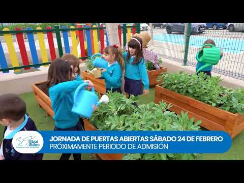 Video del centro