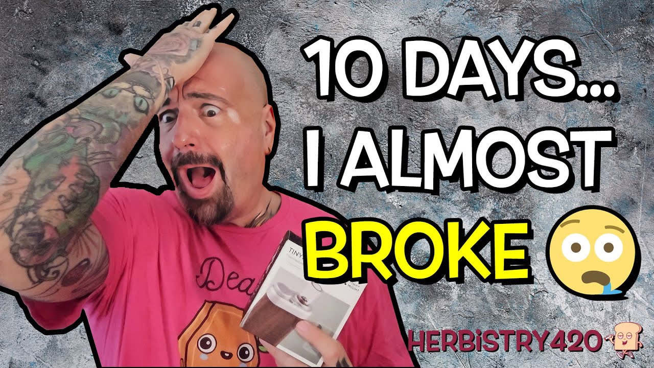 T-Break Update Week 2 — The Unexpected Social Side of a Tolerance Break