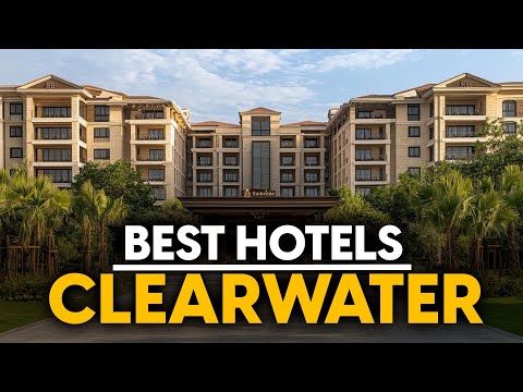 Best Hotels In Clearwater, Usa - Top 5 Picks For Any Budget