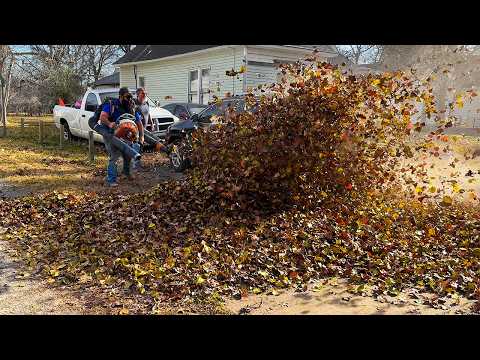 When My Pregnant Wife Got Involved… I Knew This Would Get Complicated