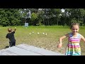 Kids Feeding Seagulls French Fries