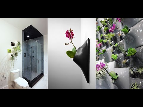 Видеообзор