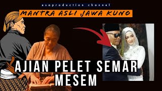 Download lagu AJIAN PELET SEMAR MESEM... mp3