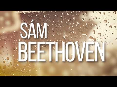 Michal David - Koncert v ulicích (Official Lyric Video)