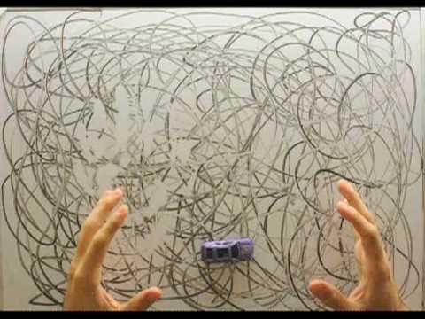 Bei the Fish - True Story (Official video)