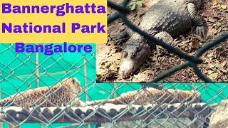 BANNERGHATTA NATIONAL PARK | Bannerghatta Zoo| Indian Dinner Recipes|