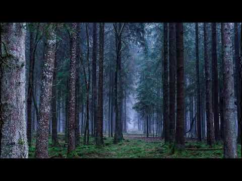 M3SIS - Soul’s Energy