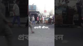 Download lagu প্রবাস জীবন দুবাই #probashijibon #probashi #dubai #viral #viralshorts mp3