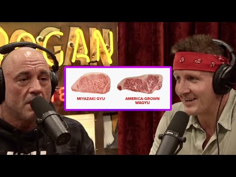 Joe Rogan & Sonny: American Wagyu vs Japanese Wagyu!?!
