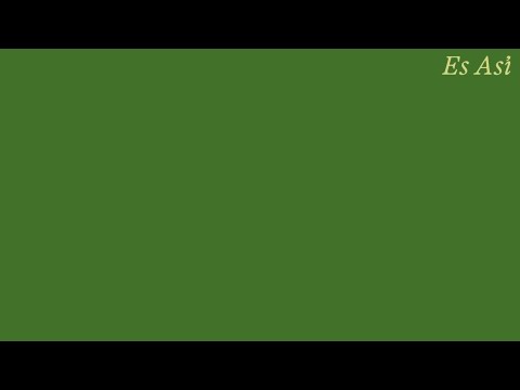 Wuicho kun & Sam Vazquez - Es Así (Lyric Video)