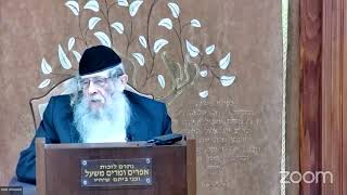 הרה"ג הרב וועכטר שליט"א י"א אדר א' תשפ"ד - ליקוטי שיחות חלק ט"ז (הרב אברהם מנחם מענדל וכטר) - התמונה מוצגת ישירות מתוך אתר האינטרנט יוטיוב. זכויות היוצרים בתמונה שייכות ליוצרה. קישור קרדיט למקור התוכן נמצא בתוך דף הסרטון