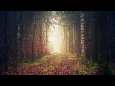 Ercan Tek - Balkız (Cover)