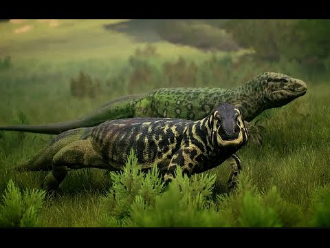 Hunting as the TERRIFYING Giant Lizards: MEGALANIA | Path of Titans PVP