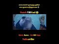 Alien Heals Demented Hero Koi Mil Gaya Shorts