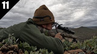 The Blacktails of the Burn — Bucks on Lockdown! | 2025 EP.11