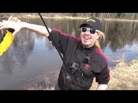 Pottukoira ja niilo22 kalassa merikarvianjoessa