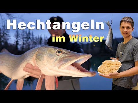 Raubfischangeln - Angeln auf Hecht und Zander im Winter 🐟👍 Hechtangeln mit Köderfisch