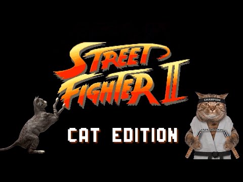 Street Fighter: Cat Edition - Bemoner