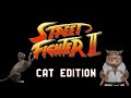 Street Fighter Cat Edition Bemoner