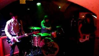 the pollywogs - live im 