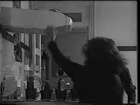 A Comédia da Vida Privada - A Casa dos 40