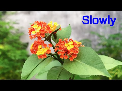ABC TV | How To Make Lantana Camara Paper Flower | Flower Die Cuts (Slowly) - Craft Tutorial
