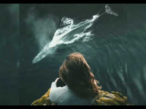 Dy nga pesëmbëdhjetë premtimet e Zojës mbi Rruzaren.Two of Our Lady's fifteen promises on the Rosary