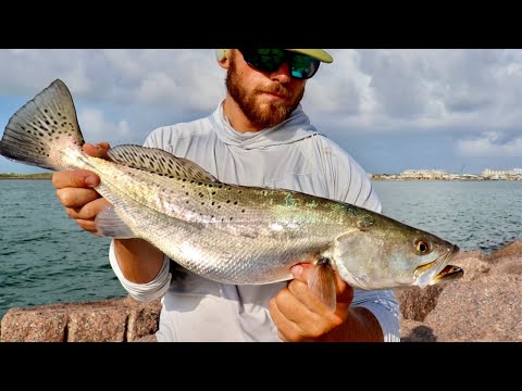 When, Where, and How to Catch Big Trout This Fall (Patterns & Tactics!!!)