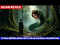 kisah nyata petani miskin kawin dengan ratu ular raksasa di hutan kalimantan jadi kaya raya