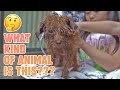 BATHING MIGUEL FOR THE FIRST TIME GWEN KATE FAYE