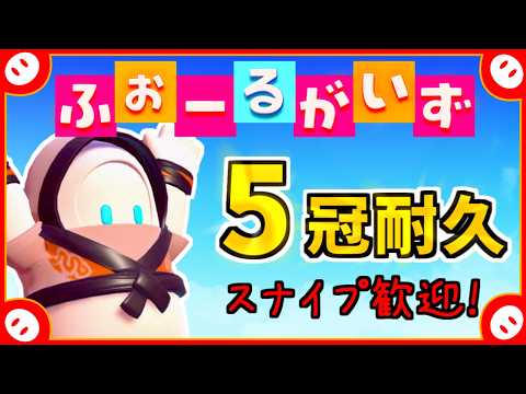 5冠耐久フォールガイズ✨どなたでも参加歓迎!【Fall Guys: Ultimate Knockout】