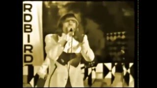 The Yardbirds - I&#39;m Waiting For The Man (Live)