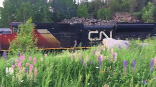 preview picture of video 'Via Rail Canada and CN stack train meet (full uncut)'