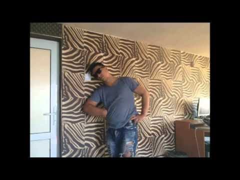 DANI PRINTUL BANATULUI SI COPILUL VAGABONT - CE FEMEIE BOMBA | Official Audio