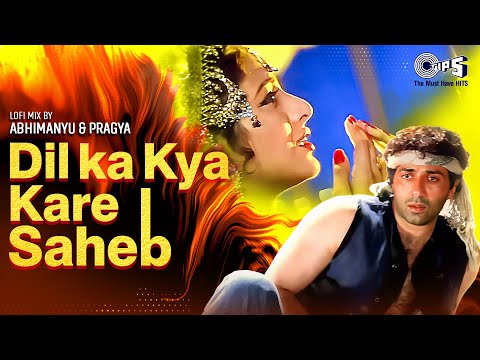 Dil Ka Kya Kare Saheb Lofi Mix Song | Jeet | Tabu, Sunny Deol | Kavita Krishnamurthy |90s Hindi Hits