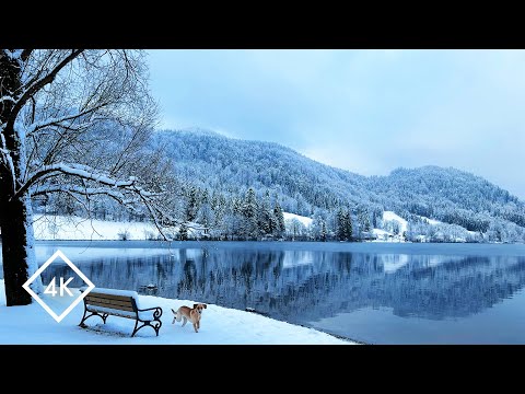 Flucht an einen bayerischen Wintersee für 1 Stunde – Entspannende Naturgeräusche zum Stressabbau
