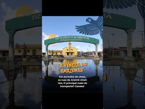 ANAMÃ / AMAZONAS