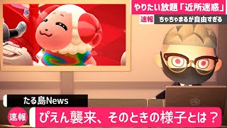 【あつ森】人の家でやりたい放題なちゃちゃまるが面白すぎたｗｗｗ