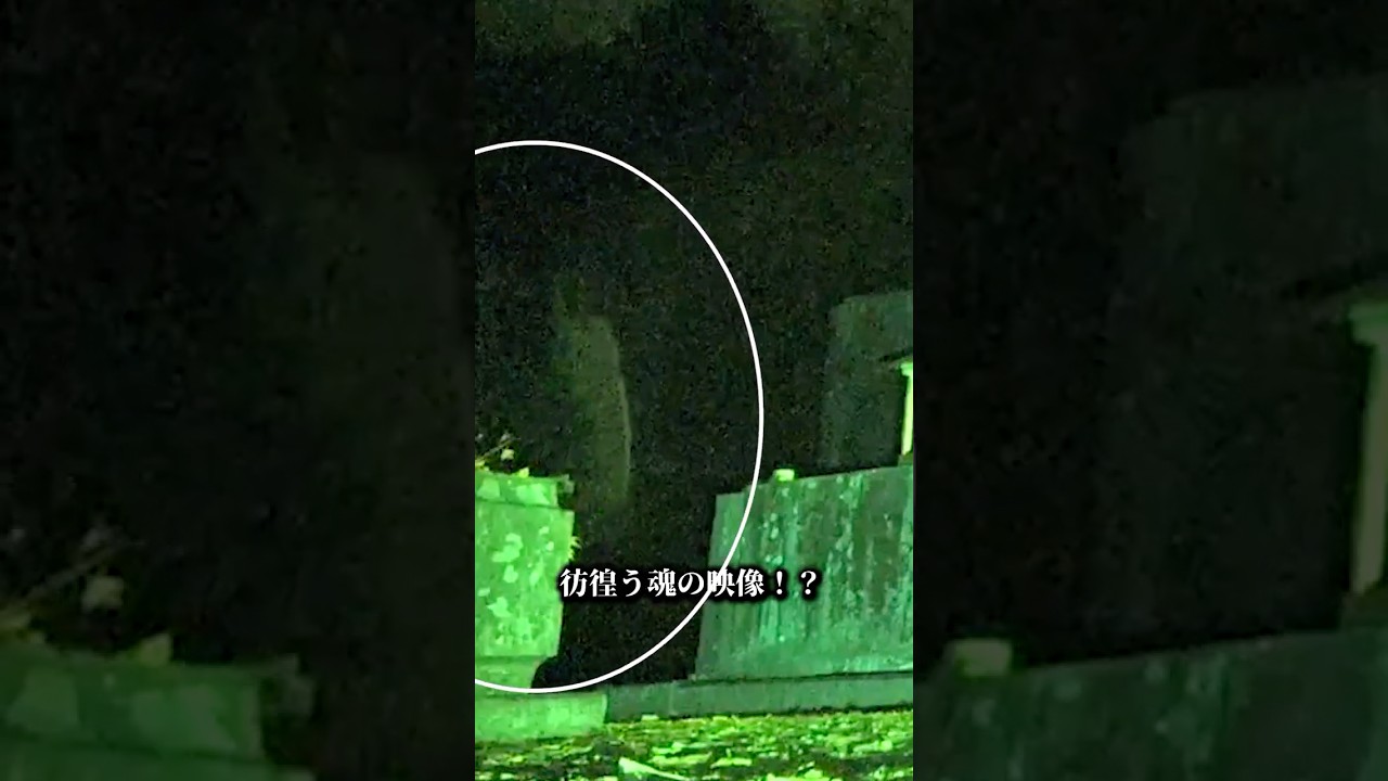 彷徨う魂の映像⁉︎#shorts #ミステリー