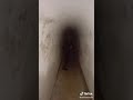 La Broma De Naín Derecho A Sus Amigos Y A Sus Hermanos